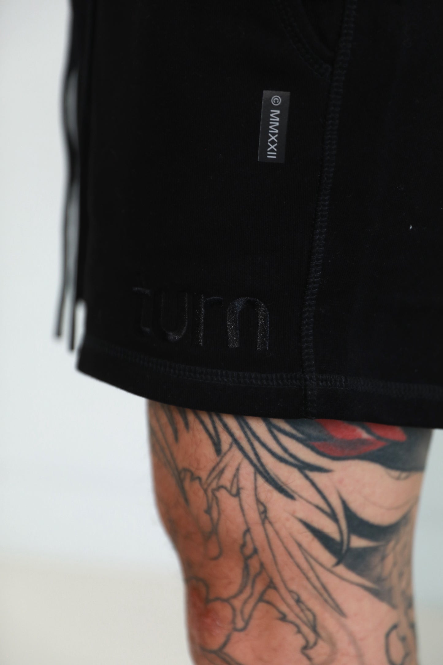 embroidered shorts